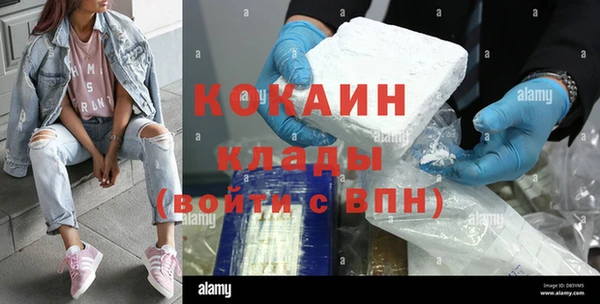 гидра Надым