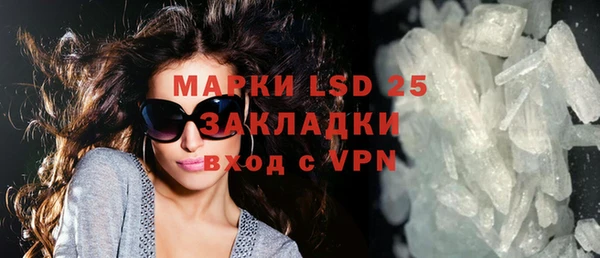 ПСИЛОЦИБИНОВЫЕ ГРИБЫ Аркадак