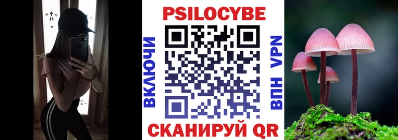Галлюциногенные грибы Psilocybe OMG как зайти Ессентуки где можно купить