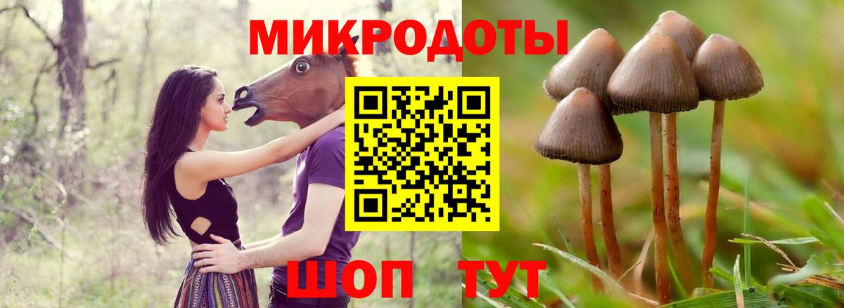 Псилоцибиновые грибы прущие грибы  Вход с VPN  Ессентуки  Галлюциногенные грибы Magic Shrooms 